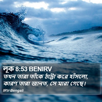 লূক 8:53 BENIRV Bible Verse Image