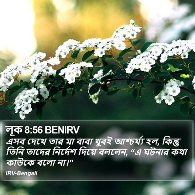 লূক 8:56 BENIRV Bible Verse Image
