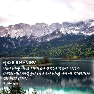 লূক 8:6 BENIRV Bible Verse Image