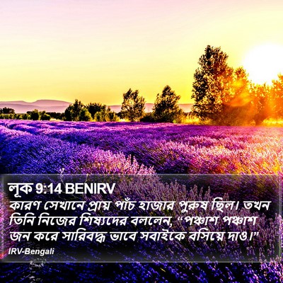 লূক 9:14 BENIRV Bible Verse Image