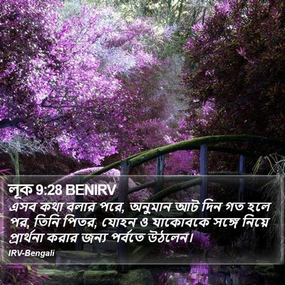 লূক 9:28 BENIRV Bible Verse Image