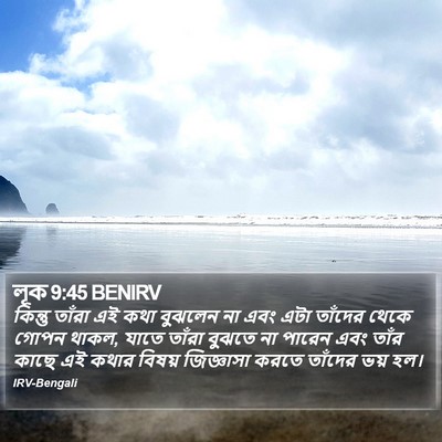 লূক 9:45 BENIRV Bible Verse Image
