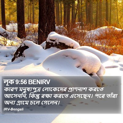 লূক 9:56 BENIRV Bible Verse Image