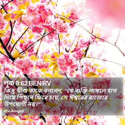 লূক 9:62 BENIRV Bible Verse Image