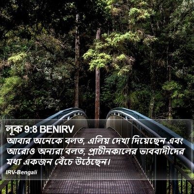 লূক 9:8 BENIRV Bible Verse Image