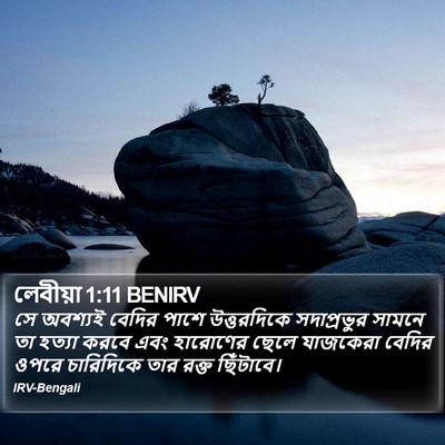 লেবীয়া 1:11 BENIRV Bible Verse Image