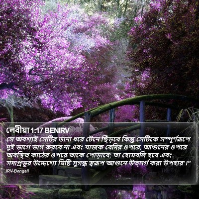 লেবীয়া 1:17 BENIRV Bible Verse Image