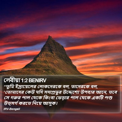 লেবীয়া 1:2 BENIRV Bible Verse Image