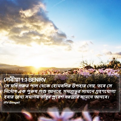 লেবীয়া 1:3 BENIRV Bible Verse Image