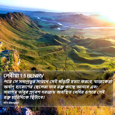 লেবীয়া 1:5 BENIRV Bible Verse Image