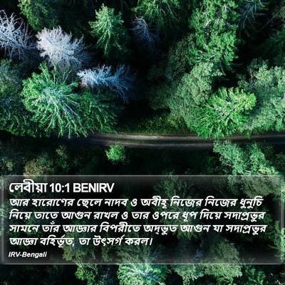 লেবীয়া 10:1 BENIRV Bible Verse Image