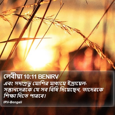 লেবীয়া 10:11 BENIRV Bible Verse Image