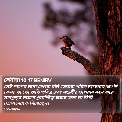 লেবীয়া 10:17 BENIRV Bible Verse Image