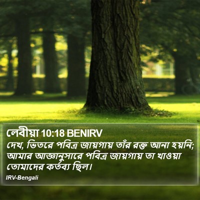 লেবীয়া 10:18 BENIRV Bible Verse Image