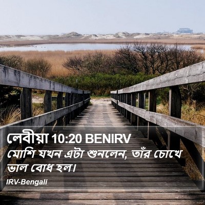 লেবীয়া 10:20 BENIRV Bible Verse Image
