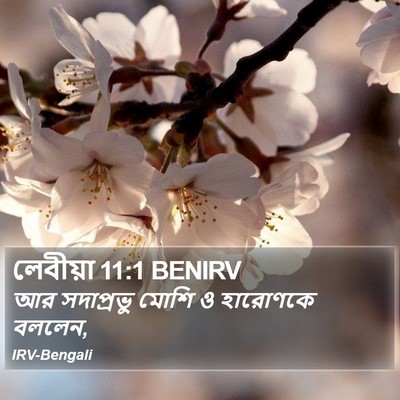 লেবীয়া 11:1 BENIRV Bible Verse Image