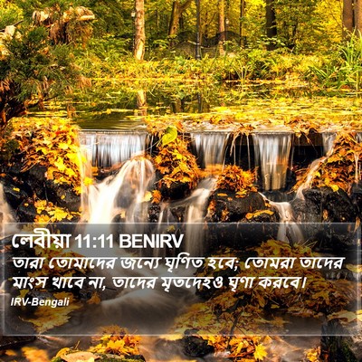 লেবীয়া 11:11 BENIRV Bible Verse Image