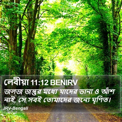 লেবীয়া 11:12 BENIRV Bible Verse Image