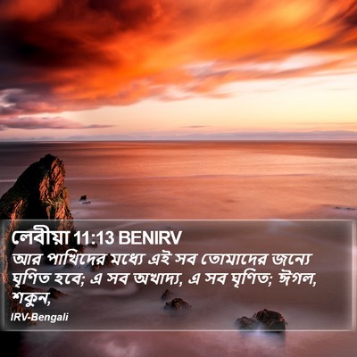 লেবীয়া 11:13 BENIRV Bible Verse Image