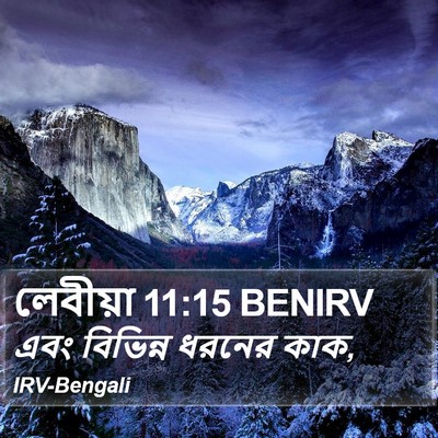 লেবীয়া 11:15 BENIRV Bible Verse Image