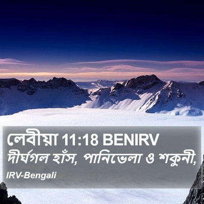 লেবীয়া 11:18 BENIRV Bible Verse Image