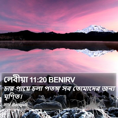 লেবীয়া 11:20 BENIRV Bible Verse Image