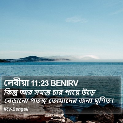 লেবীয়া 11:23 BENIRV Bible Verse Image