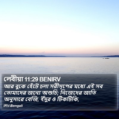লেবীয়া 11:29 BENIRV Bible Verse Image