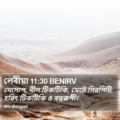 লেবীয়া 11:30 BENIRV Bible Verse Image