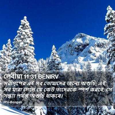 লেবীয়া 11:31 BENIRV Bible Verse Image