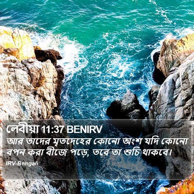 লেবীয়া 11:37 BENIRV Bible Verse Image