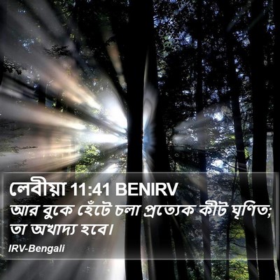 লেবীয়া 11:41 BENIRV Bible Verse Image