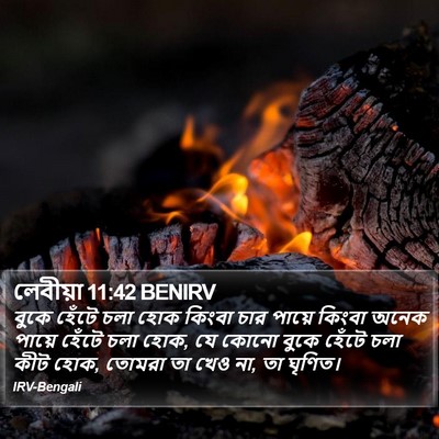 লেবীয়া 11:42 BENIRV Bible Verse Image