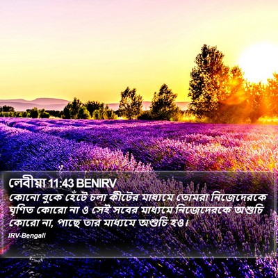 লেবীয়া 11:43 BENIRV Bible Verse Image