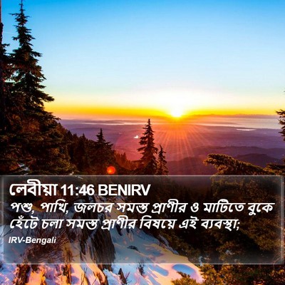 লেবীয়া 11:46 BENIRV Bible Verse Image
