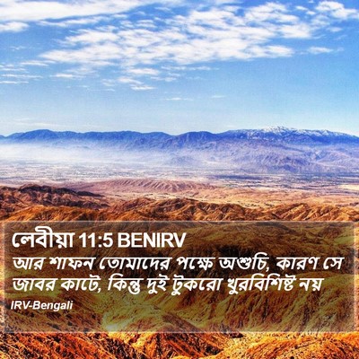 লেবীয়া 11:5 BENIRV Bible Verse Image