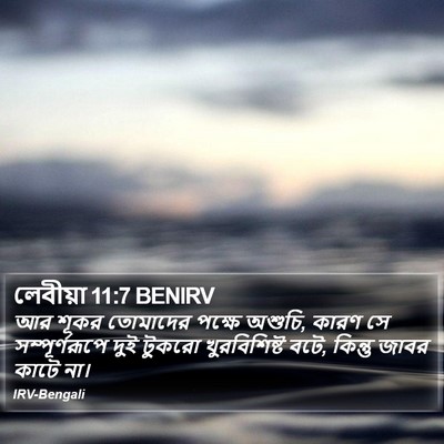 লেবীয়া 11:7 BENIRV Bible Verse Image