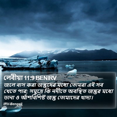 লেবীয়া 11:9 BENIRV Bible Verse Image