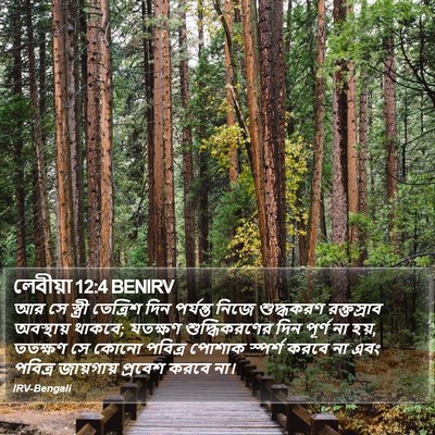 লেবীয়া 12:4 BENIRV Bible Verse Image