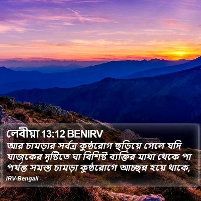 লেবীয়া 13:12 BENIRV Bible Verse Image