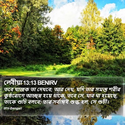 লেবীয়া 13:13 BENIRV Bible Verse Image