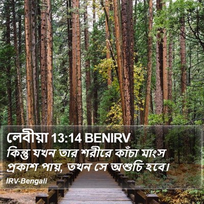 লেবীয়া 13:14 BENIRV Bible Verse Image