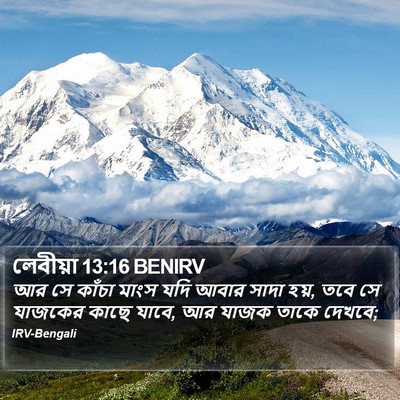 লেবীয়া 13:16 BENIRV Bible Verse Image
