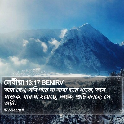লেবীয়া 13:17 BENIRV Bible Verse Image