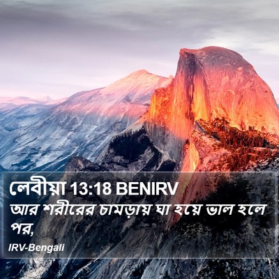 লেবীয়া 13:18 BENIRV Bible Verse Image