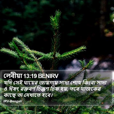 লেবীয়া 13:19 BENIRV Bible Verse Image