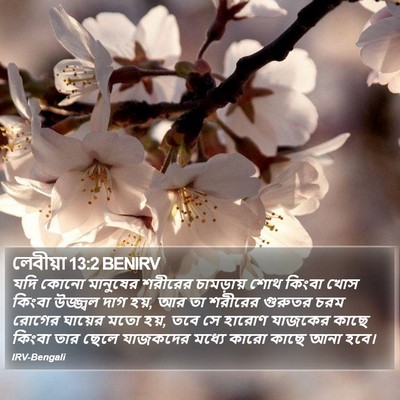 লেবীয়া 13:2 BENIRV Bible Verse Image