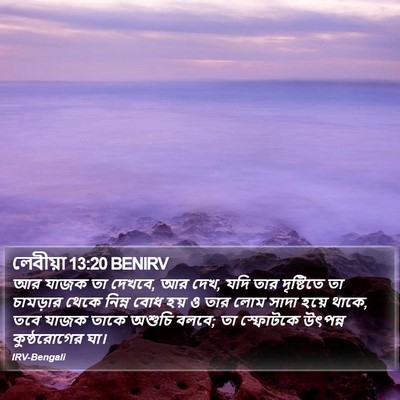 লেবীয়া 13:20 BENIRV Bible Verse Image