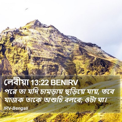 লেবীয়া 13:22 BENIRV Bible Verse Image