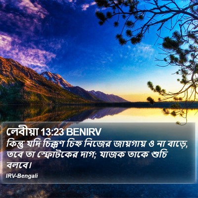 লেবীয়া 13:23 BENIRV Bible Verse Image